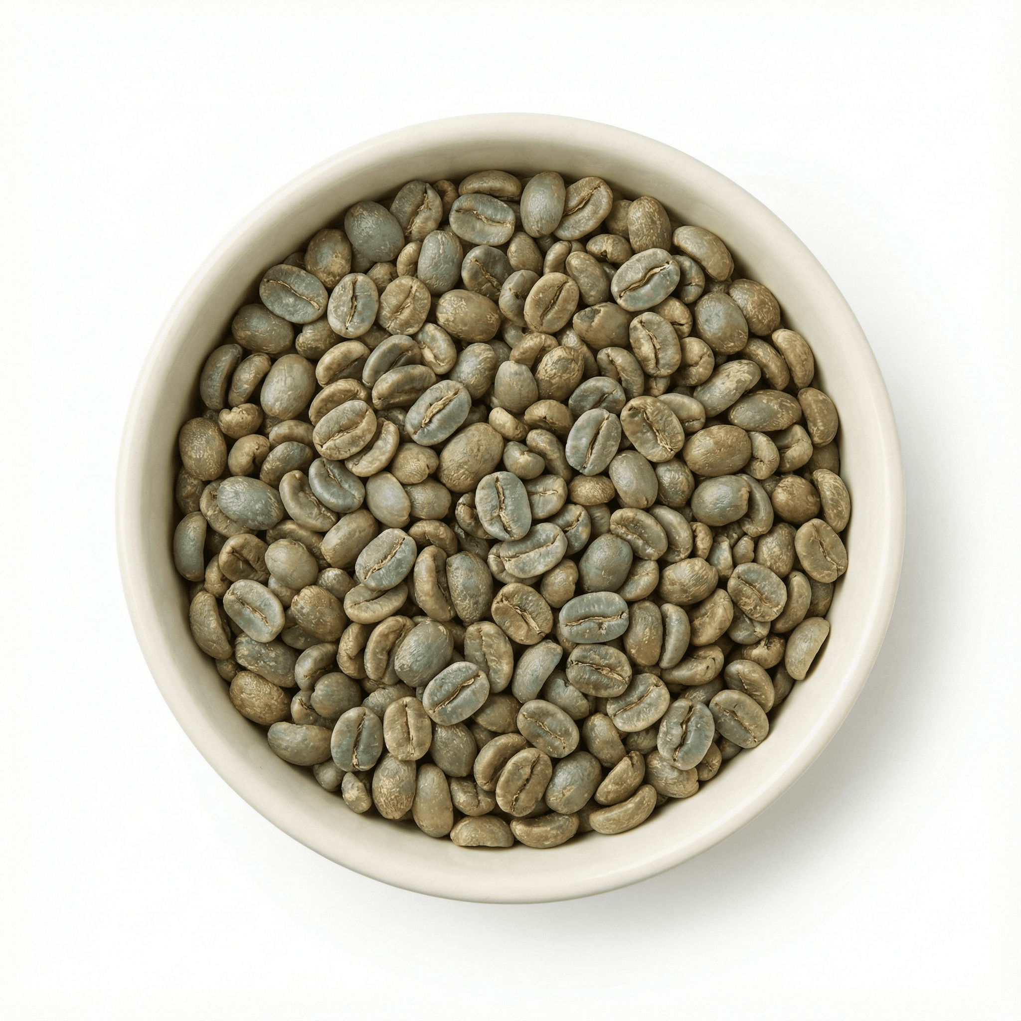 Arabica Plantation B (Green Beans) - Indian Coffee Export | VB Exports